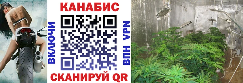 МАРИХУАНА Зеленоградск