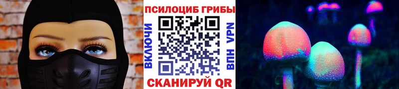Купить закладки  Зеленоградск  Псилоцибиновые грибы GOLDEN TEACHER 